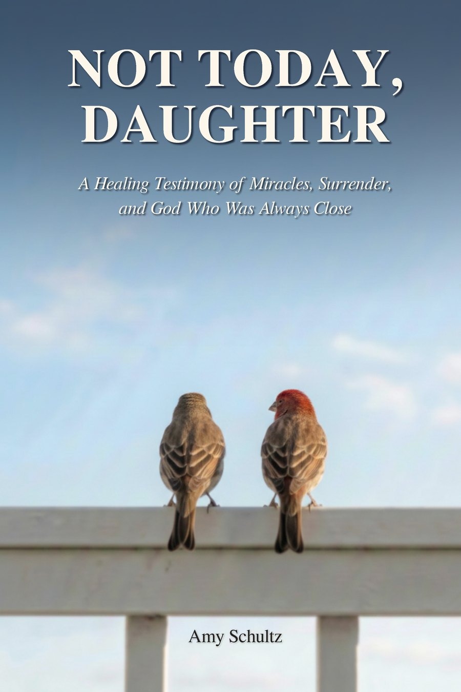 Not Today, Daughter book cover — two birds sitting side by side on a railing against a blue sky